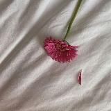 хукмы для женщин