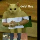 Сливной бачок