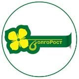 Центр Подарков для дома ВолгоРост