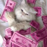 Банки chat