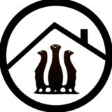 Чат Приют Сурикат Екб