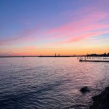 Туси в Сочи 🌊🏄♀️🏊♀️🐬