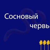 Правдоруб из ДД