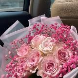 𝐭𝐮𝐫𝐝𝐚𝐥𝐢𝐞𝐯𝐯