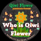 Qiwi Flower [О нас]