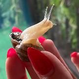 Красивые цитаты со смыслом 🧏♂️ афоризмы, высказывания