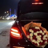 𝐃𝐮𝐬𝐡𝐚 𝐦𝐨я ✨