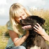 Приют «Тимошка»