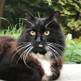 Душевного Добра!