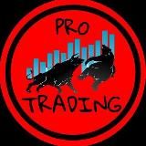 PRO TRADING