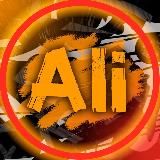 ВЫПЛАТЫ ПУШКИНА