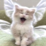 🛸ИнстаGirl🛸