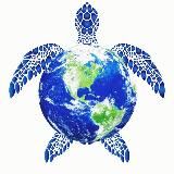 География и факты