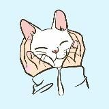 ОБЩЕСТВО ЗАЩИТЫ ЖИВОТНЫХ г..Кемерово❤️