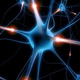 MD Psy | Психология для жизни