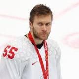 ястребица хоккейная птица