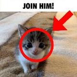 ᴡɪʟʟɪ’ᴀᴍ?