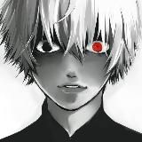 FOXY_N1K1T
