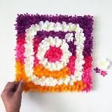 ✯PRO Instagram ✯