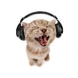 в буздяке любят