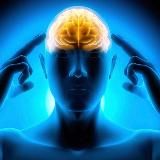 факты дегенерата