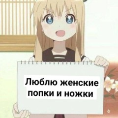 Архив китти