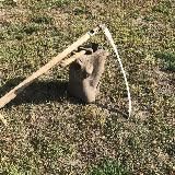 Неклепана коса