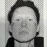 9mice на каждый день 2.0