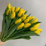 Горзеленхоз. Цветы. Иркутск Chat