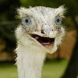 Находки с WB💜, анекдоты, рецепты🥯