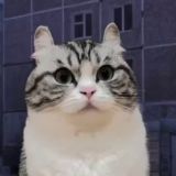 Инфа по смс