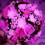 Слив чатов 🍒