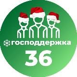 Господдержка36.рф