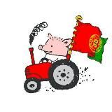 Португалия. Телеграф 🇵🇹