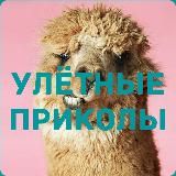 Улётные приколы 🤣😂🤣