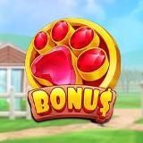 BONUS & ЗАНОСЫ