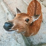 Вебинар по СИ