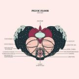 Женское здоровье 1.0 - Фабула Исаева