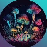 Magic Shrooms prints 🧠🍄