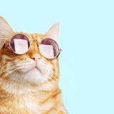 Кружок психологии