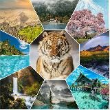 Beautiful natures