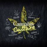 Cannabis culture [Таиланд] 💨