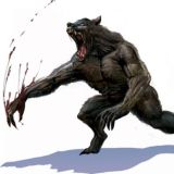 Werwolf - DE/AT/CH