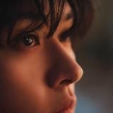 мсзо (закрыто)