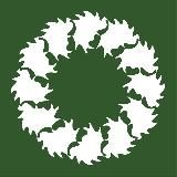 Школа № 37 г. Вологды