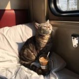 Юмор|цитаты|красивые места|эстетика|смешные видео|психология|✨🔮