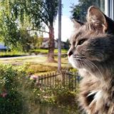 Общение со вкусом