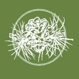 Ботанический сад • Тверь