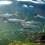 ПЕРЕЕЗД ❗️ Озеро рыбы