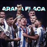 𝑳'𝒂𝒓𝒂𝒏̃𝒂 𝒇𝒍𝒂𝒄𝒂 🕸️